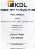 Certificate of completiohn DIR:101 and DIRFloortime Issued Jule 8.2018.ICDL